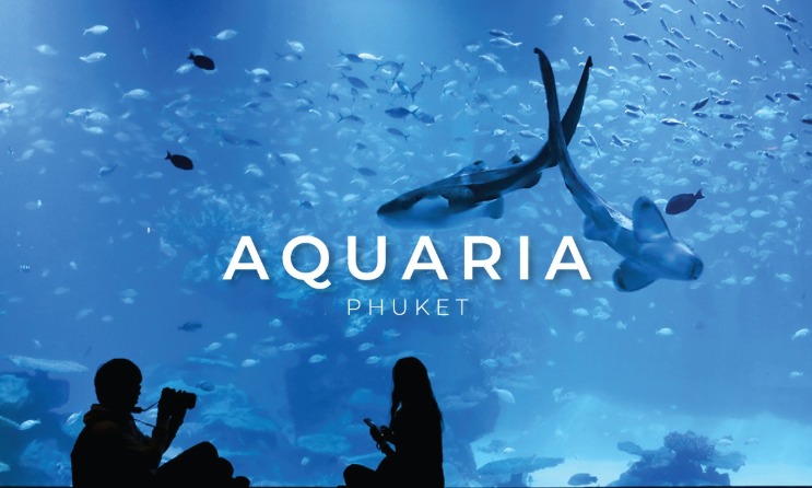 AQUARIUM PHUKET WITH ENTRANCE TICKET PRIVATE PICK UP AND DROP PHUKET HOTEL